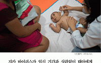 [카드뉴스] “지카 바이러스, 임신기간 상관없이 태아에 영향”