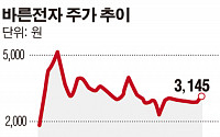 바른전자, 중국 다수와 자본제휴 추진…메모리 월 1000만개 추가 생산