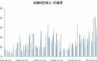 펀드매니저들 인버스ETF '열공'중