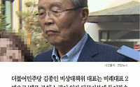 [카드뉴스] 김종인 “나는 응급치료하는 사람… 수권정당 하려면 내가 의원직 가져야”
