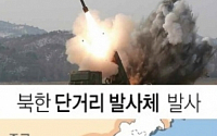 북한 동해로 단거리 발사체  발사…사거리 200km 신형 방사포 추정
