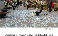 [카드뉴스] 서울광장 2500만원 '돈벼락 소동'… 돈 뿌린 50대 여성, 왜?
