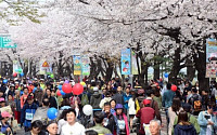여의도 벚꽃축제, 차량 통제되는 구간은 어디?