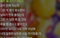 '봄이좋냐'며 커플 디스한 10cm, 차트 '올킬'