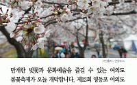 [카드뉴스] 여의도 봄꽃축제, 11일까지 차량 통제… 지하철로 가는 법은?