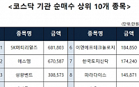 [코스닥 기관 순매수 상위 10개 종목]