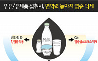 미세먼지 기승하는 봄.. 우유, 유제품으로 염증 이겨낼까