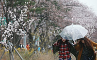 [일기예보] 내일 날씨, 전국 곳곳에 비 '제주 최대 300mm 이상'…"미세먼지는 걱정 없어요!"