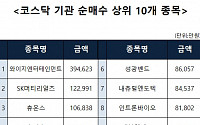 [코스닥 기관 순매수 상위 10개 종목]