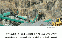 [카드뉴스] 고흥 주상절리, 드러난 규모만 높이 20~30m·폭 100m