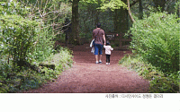 [카드뉴스] 정형돈, 딸과 숲속 산책 근황 전해…“도니 잘 있습니다”