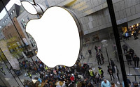 시들해진 아이폰 매출…애플 대세 사업은 서비스?