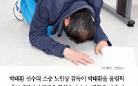 [카드뉴스] “박태환 올림픽에 보내달라” 무릎 꿇은 노민상 감독
