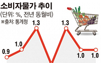 소비자물가 3개월째 1%대…배추ㆍ마늘 등 장바구니 물가는 급등(상보)