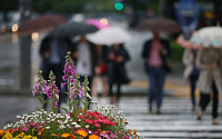 [일기예보] 오늘 날씨, 전국 흐리고 곳곳에 비…&quot;밤부터 황사로 인한 미세먼지 주의하세요!&quot;