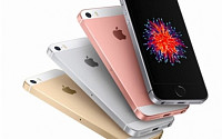 '판매부진 아이폰' 애플 주가 2년만에 최저…갤럭시 세계 2위 시장 인도서 고공행진