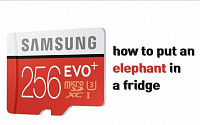 손톱 위의 256GB EVO Plus 마이크로 SD카드