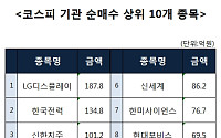 [코스피 기관 순매수 상위 10개 종목]