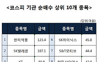 [코스피 기관 순매수 상위 10개 종목]