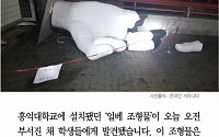 [카드뉴스] 홍익대 일베 조형물 산산조각… &quot;용기있는 행동&quot; vs &quot;폭력적이다&quot;