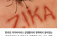 [카드뉴스] 지카바이러스, 한국인 정액서 첫 검출… 연구팀 “성관계로 태아에 전파될 수 있다”