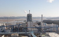 서부발전, 태안 석탄가스화복합발전 개시…7월말 플랜트 완공