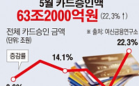 [간추린 뉴스]  '임시공휴일 효과' 5월 카드승인액 증가
