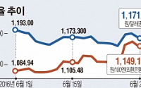 [브렉시트 이후] 롤러코스터 환율, 방향은?