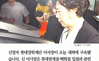[카드뉴스] 신영자 구속… 검찰, 입점 로비·그룹 비리 추궁 예정