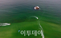 [포토]동해안 해수욕장 개장 '여름이다!'
