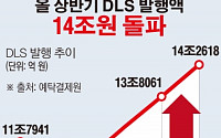 [간추린 뉴스] 올 상반기 DLS 발행액 14조원 돌파