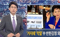 송영선 사과 &quot;중국인 거지떼로 표현한 점 부적절하고 신중치 못했다&quot;