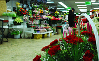 [현장르포] 고유가·이상기후에 한숨짓는 꽃시장 상인들