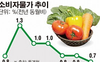 【종합】 7월 소비자물가 0,7% 상승 ‘10개월 만에 최저’