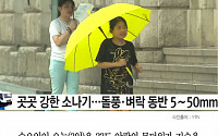 [카드뉴스] 오늘날씨, 서울 낮기온 33도 무더위… 곳곳 소나기