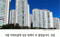[카드뉴스] 서울 아파트값, 상승탄력 또 붙었다…양천-강서-서대문 순