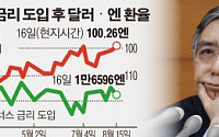 [미·일 통화정책 딜레마] 달러ㆍ엔 100엔 붕괴...마이너스 금리에도 엔고와 씨름하는 일본