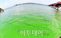 [포토] '초록빛 한강'