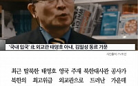 [카드뉴스] 탈북 태영호 부인도 빨치산 가문… 두 아들 이력은?