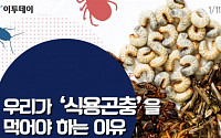 [카드뉴스 팡팡] 우리가 ‘식용곤충’을 먹어야 하는 이유
