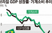 브라질 호세프 대통령 탄핵 쇼크…삼바 경제 빙하기 길어진다