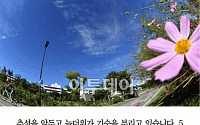 [카드뉴스] 오늘날씨, 서울 낮 30도 속 곳곳 소나기…추석까지 늦더위 기승