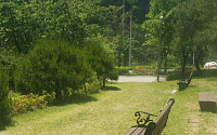 화려한 아침