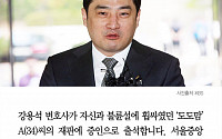 [카드뉴스] 강용석, 불륜설 휩싸였던 '도도맘' 재판에 증인으로 출석한다