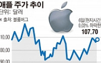 ‘개봉박두’ 아이폰7, 애플 전성기 되찾아줄까...월가선 비관론만 자욱