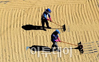 [포토]가을은 결실의 계절