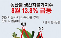 [데이터뉴스]‘폭염’에…8월 생산자물가, 한달만에 상승