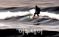 [포토]Autumn Surfer