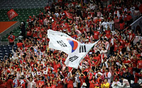 [월드컵] 한국 원정응원단 고작 800명?