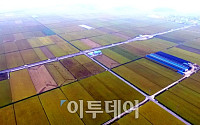 [포토]하늘에서 바라본 지평선마을